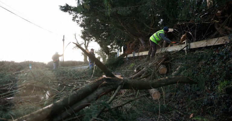 Storm Eowyn leaves a third of Ireland without electricity