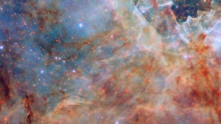 NASA and ESA share a breathtaking hunter image of the outer edge