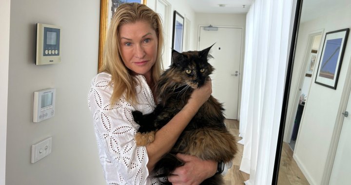 Mitten cat becomes frequent flyer after being overlooked in cargo hold – National