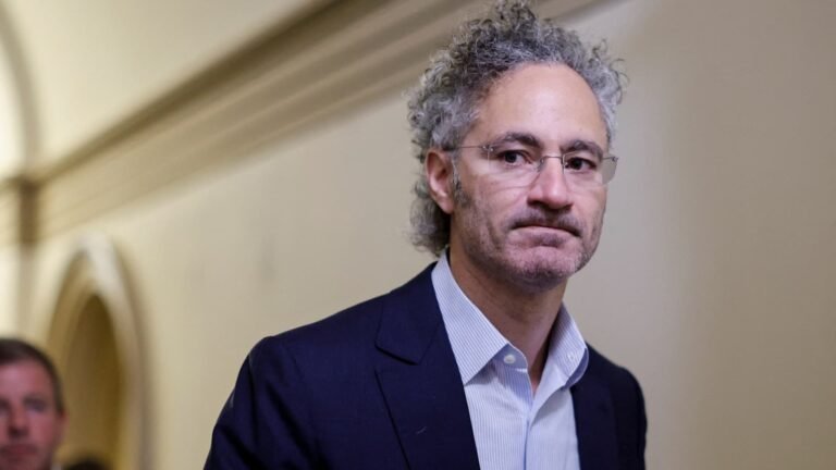 Palantir rushes after the report on the Pentagon budget, the Sales Plan Karp