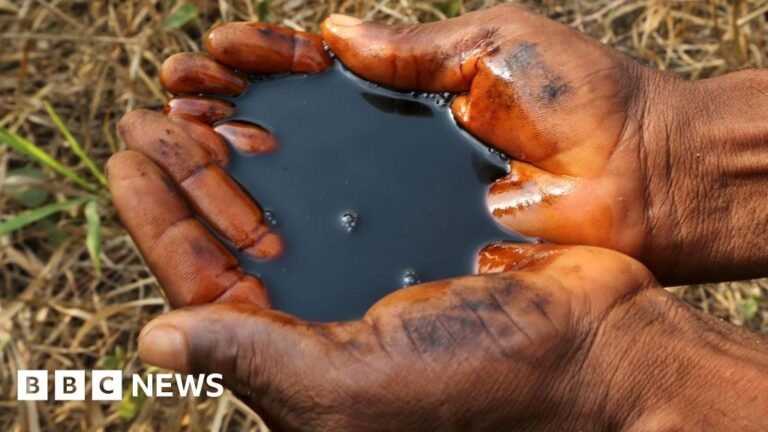 Shell ignored the warning of “fraud” escape, whistle-blow says BBC