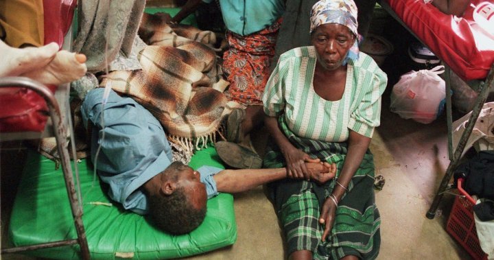 Here’s what happens to the body when the cure for HIV is stopped – National