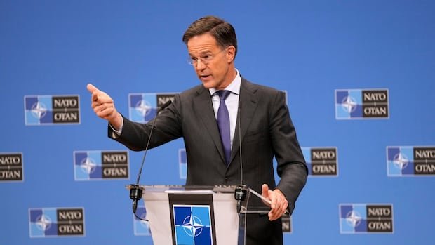NATO chief is convinced that US-Canada trade war would not hurt allied solidarity. Others are not so sure