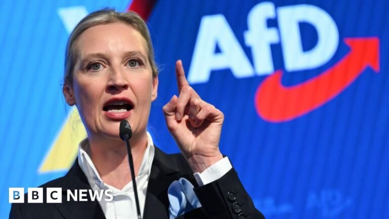 Five key with you from the German elections