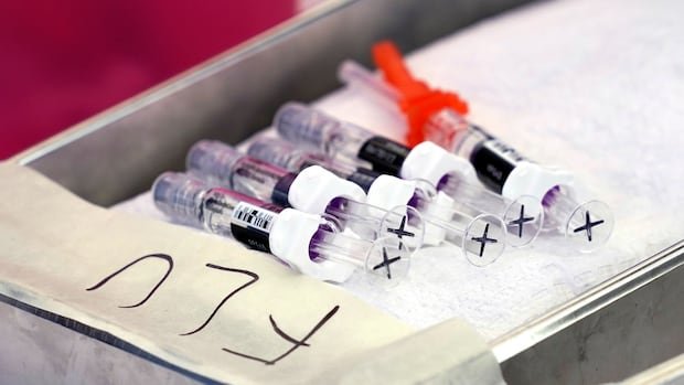 The US has not sent basic information about the seasonal influenza who before the key session of the vaccine
