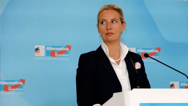 Germany: Will the far right defeat the “firewall”? | TV shows