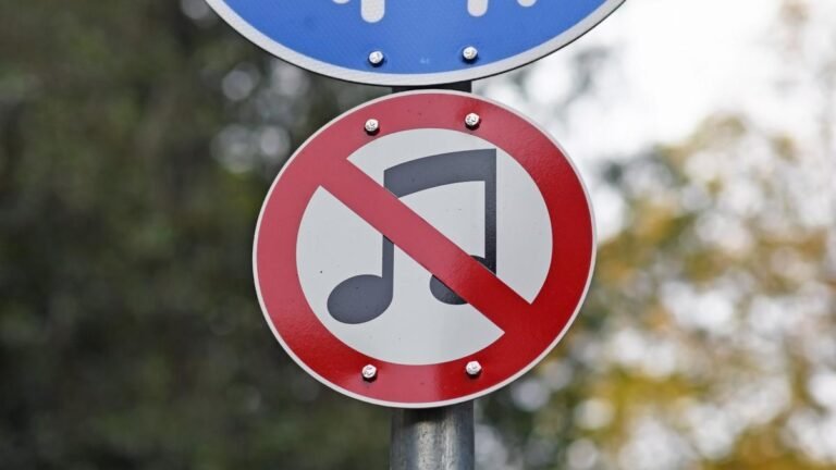 HARYANA Police Prohibition of Songs promoting Violence Violence
