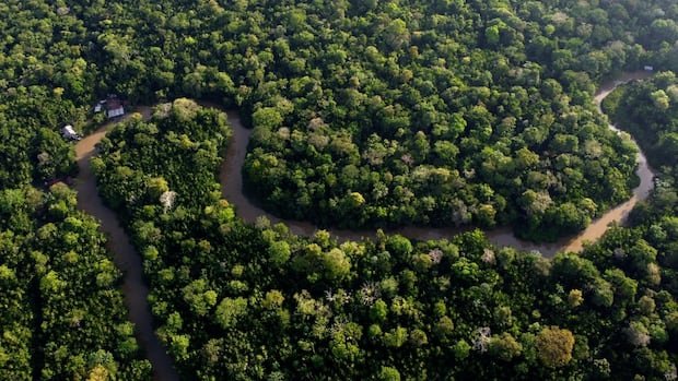 The country is an agreement of $ 200 billion to protect nature. The US has not been involved