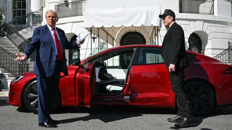 'Dogequest' website reportedly doxxing Tesla owners over Musk, Trump