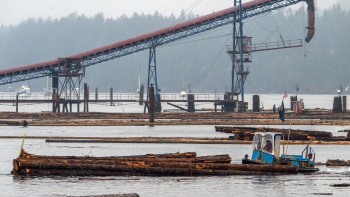 Trump orders a probe into alleged dumping of timber on the US market