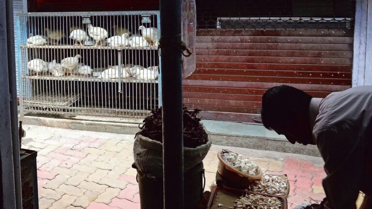 No non-vegetarian food in this Eid? Varanasi Authorities issue orders to conclude meat stores during Chaitra Navratri | The news today