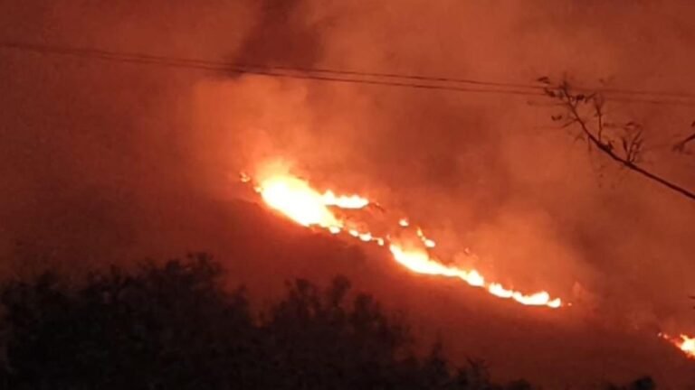Fire destroys dry grass on hill in vellore