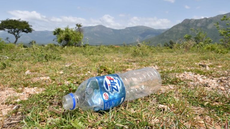 Madras High Court prohibits 28 plastic products across the western Ghats in Tamil Nadu