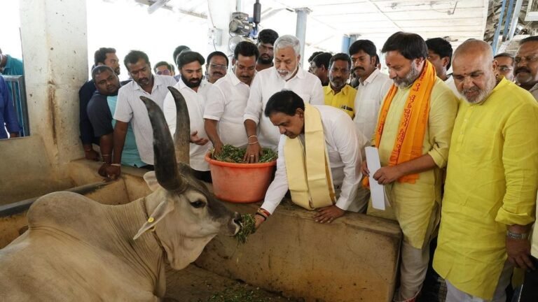 TTD refutes the leader of Ysrp Karunakar Reddy’s accusation of the deaths of cows on the milk farm