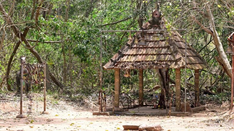 The sacred grove that is the stock of the rare fauna and its strong bond with the inhabitants