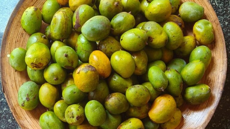 How well do you know Keral’s native mango?