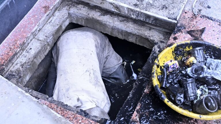 The Andhra Pradesh High Court requires data concerning the “sewerage death” since 1993