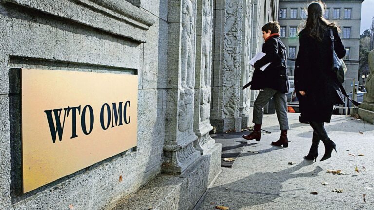 Mint Primer | Below, not outside: Will WTO live to see the next day?