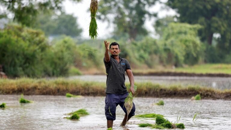 Rajasthan reaches the first position in the farmers’ register