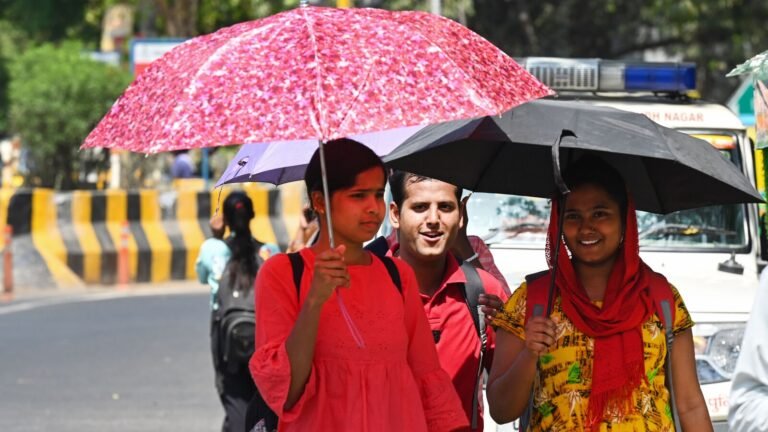 Drink Drink Drinks this summer will hit its highest level | The news today