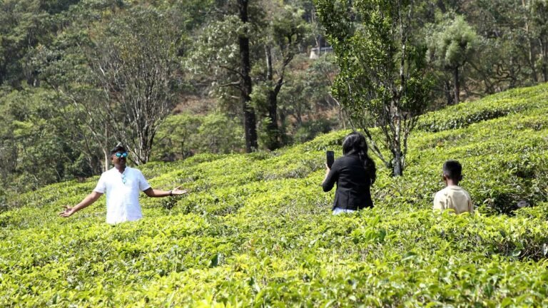 Munnar receives more tourist questions after a terrorist attack of Kashmir