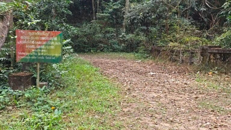 Road aluva-Munnar remains a decisive habitat for wild animals: kfri study