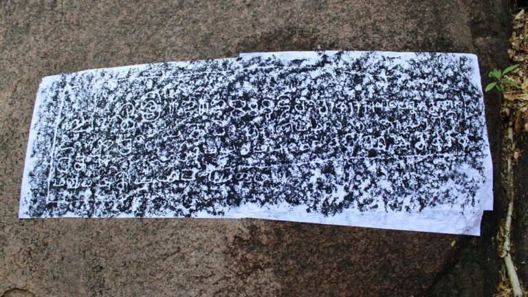 The new inscription Chola discovered near Mlavalava
