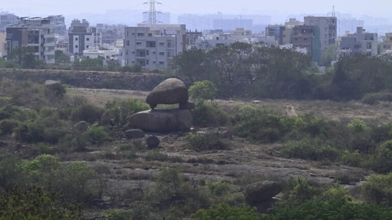HC announcement for the Govt Telangana department over Land adjacent to the University of Hyderabad