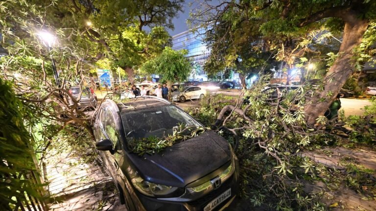 Delhi Storm Storm: affected operation, several damaged vehicles when the trees collapse | Watch videos | The news today