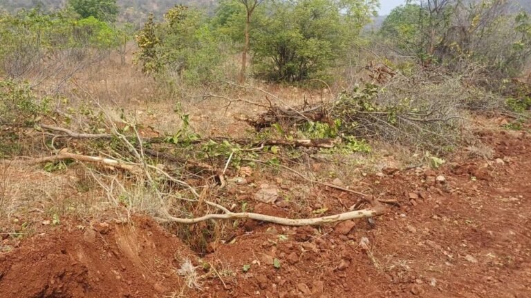 Collector’s letter over forest countries Devanoor Sparks in Hanamkon
