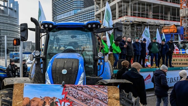 Trump tariffs: European farmers warn against retaliation, call for conversations | The news today