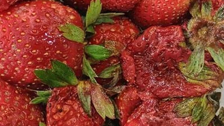 Food safety officials indicate violations of hygiene in Juice stores in Hyderabad