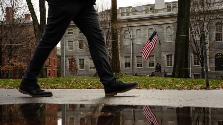 “Sorry”: Harvard President apologizes for reports about anti-Semitism and Anti-Muslim bias The news today