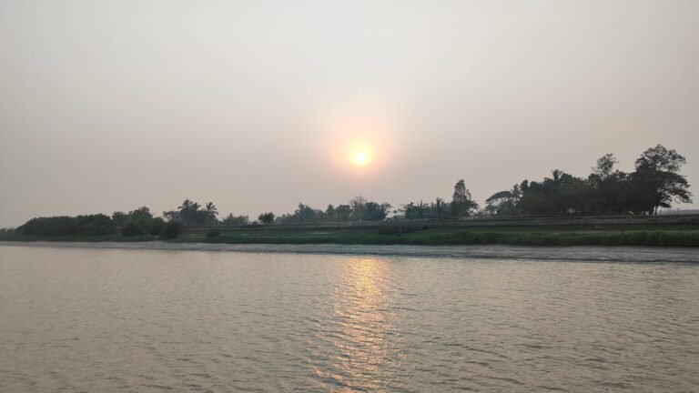 In the Bhitarkany National Park, put the sail and look at the crocodile
