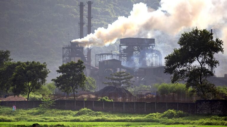 The Ministry of the Environment must irrigate on the basis of a coal coal race: a study
