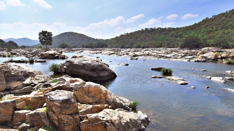 Karnataka should conduct interviews with TN over the Mekeedat project, says Basavaraj Bommai