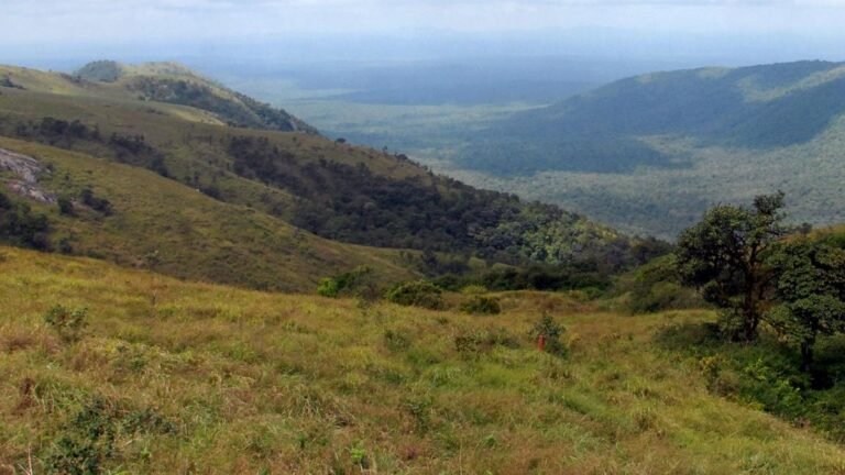 Filming film in Tiger Reserve: The State Administrative Center has moved from Vidhan Judah to Wayanad, says R. Ashok