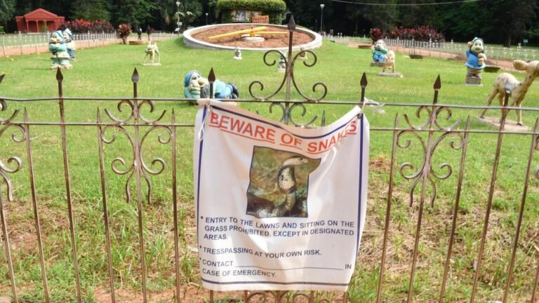 All Snakebite’s deaths in Carnation will now be audited at the district level