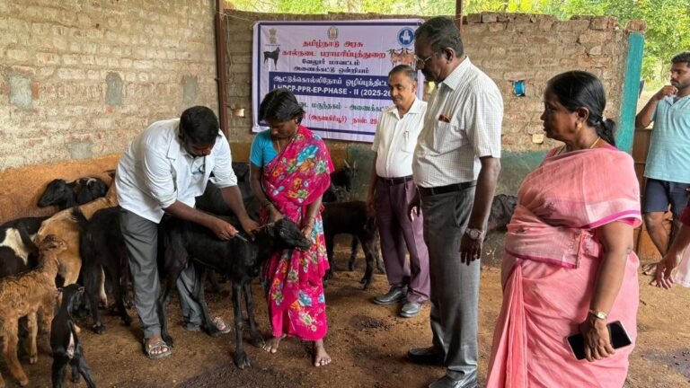 Vaccination unit against PPR for 4.5 lakh goats in Vellore in nearby districts