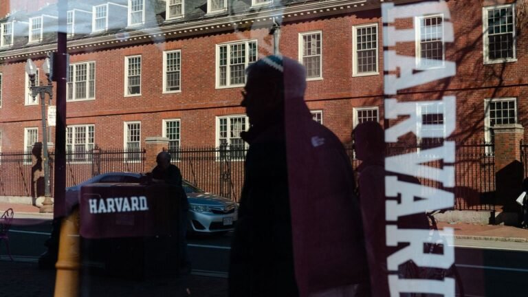 The University of Harvard reacts because Trump’s administration admits a “mistake” when sending a letter: “questioned authenticity” | The news today