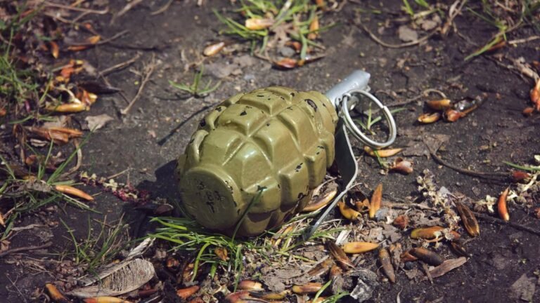 Possible terrorist attack thwarted once arrest, hand grenade confiscated: Panjab Police