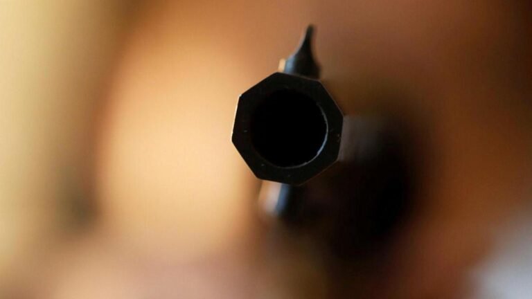 Agra police denies a common angle in the murder of a restaurant workers