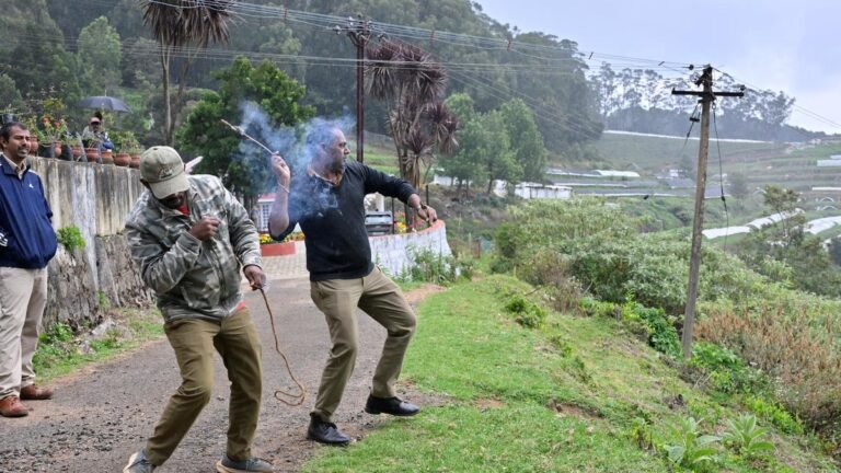 The Forest Department continues to leave the elephant from Doddabett Peak on the third consecutive day