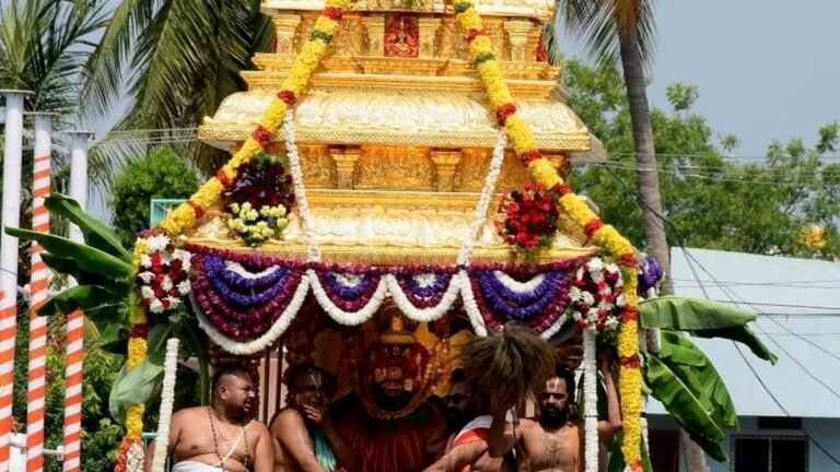 Devoted to look at Swwarna Rathotsavam the goddess Padmavati in Tiruchanur