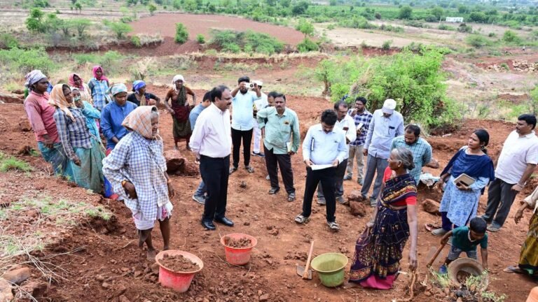 Collector Kadapa checks Mgnrega works after MP complaints