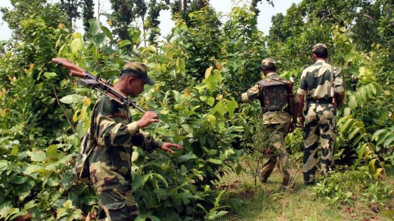 Maoists with 10 £ Lakh and £ 5 Lakh rewards killed by security forces in Jharkhand | The news today