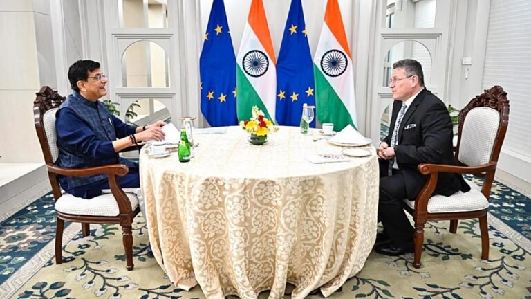 India, the EU to organize the next round of FTA interviews from 12 May