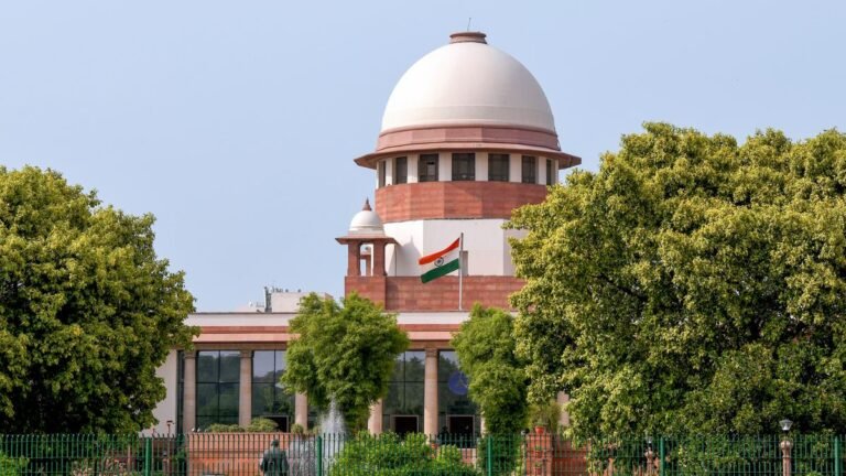 The Supreme Court will cancel a lifetime imprisonment in the case of murder due to madness