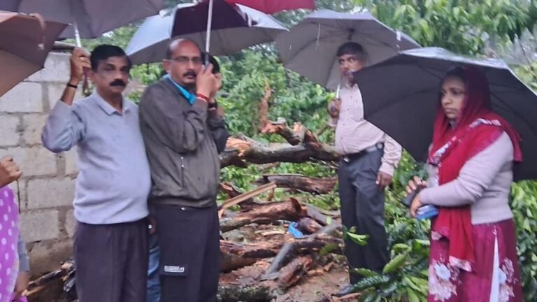 A woman dies after a tree falls on her in virajpet