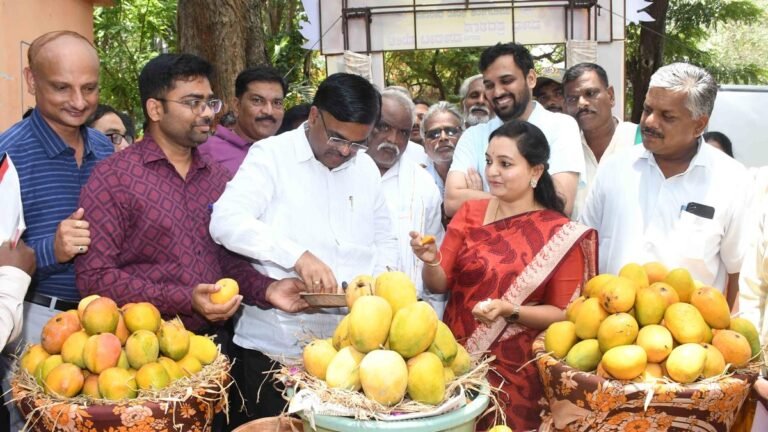 The five -day mango mela begins in Dharwad